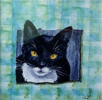 "chat, fond écossais"