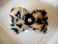/album/barrette-en-tissu-/dsc05310-jpg/