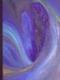 /album/galerie-de-photos-%3a-caubri%c3%a8re-christian1/a8-jpeg/