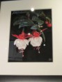 /album/photo-expo-toute-fleur-est-femme-/img-0471-jpg/